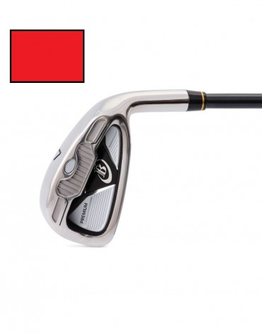 Boston Junior premium Iron n°6 T2-T3